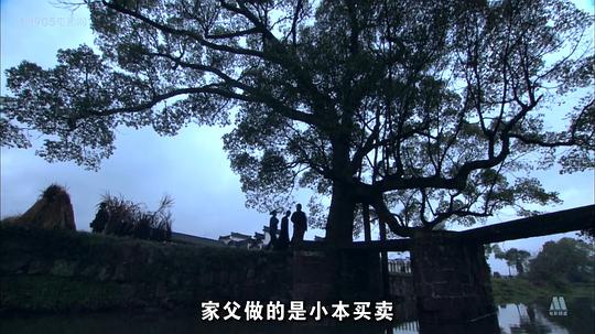 烽火歲月