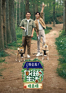 向往的生活7 慢直播 第20230430期