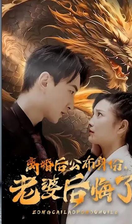 離婚后公布身份，老婆后悔了 全集(大結(jié)局)