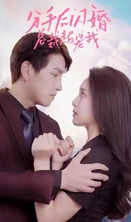 分手后閃婚總裁超寵我 全集(大結(jié)局)
